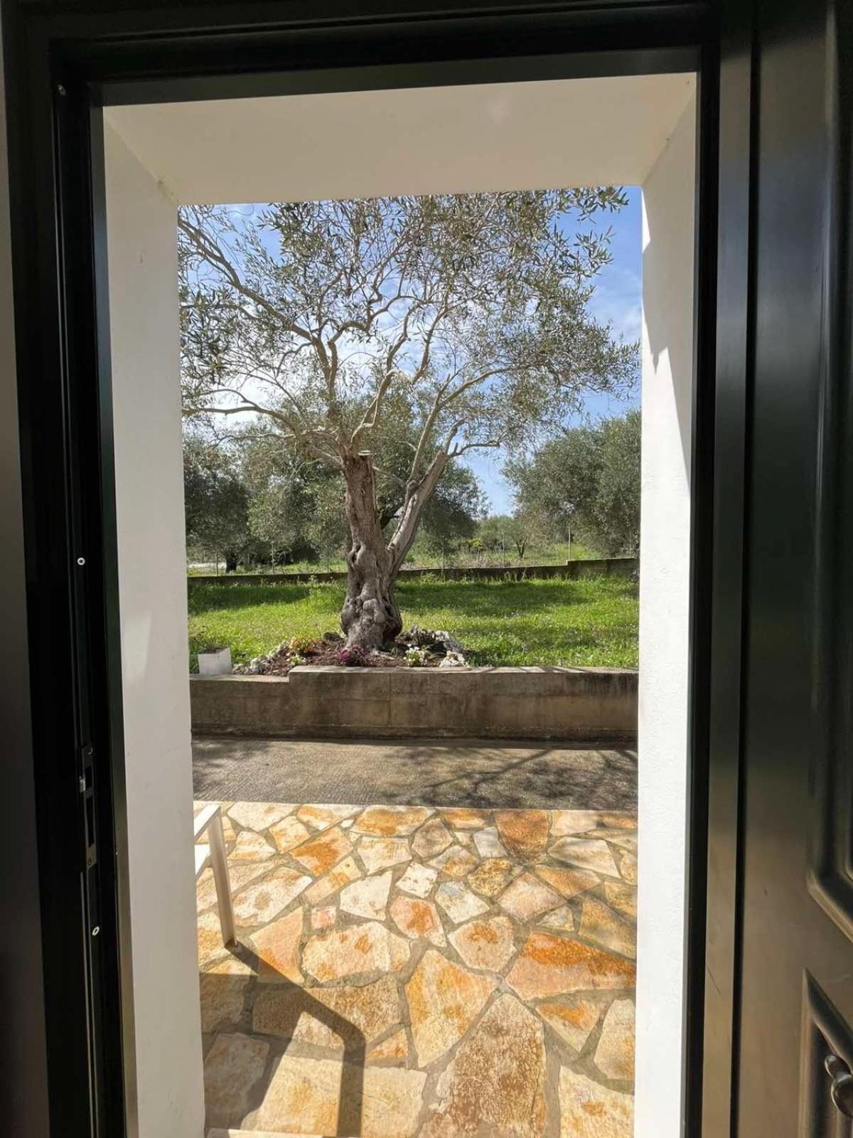 Kouris Garden View Apartment *